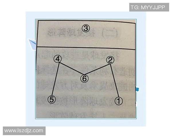 深入分析北京排球队的进攻策略与战术特点探讨