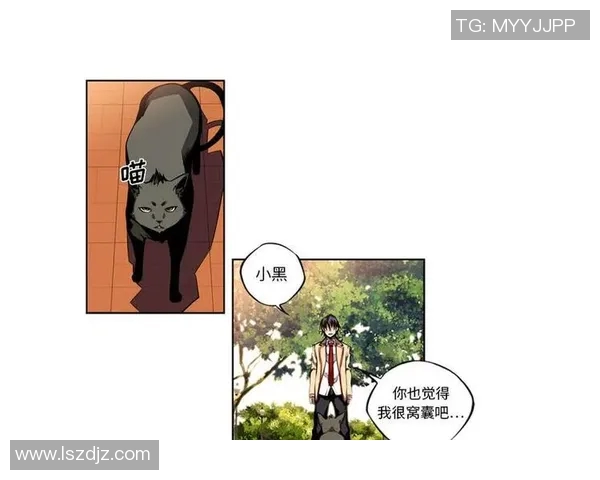 恩佐的成长之路：从平凡少年到传奇英雄的蜕变故事