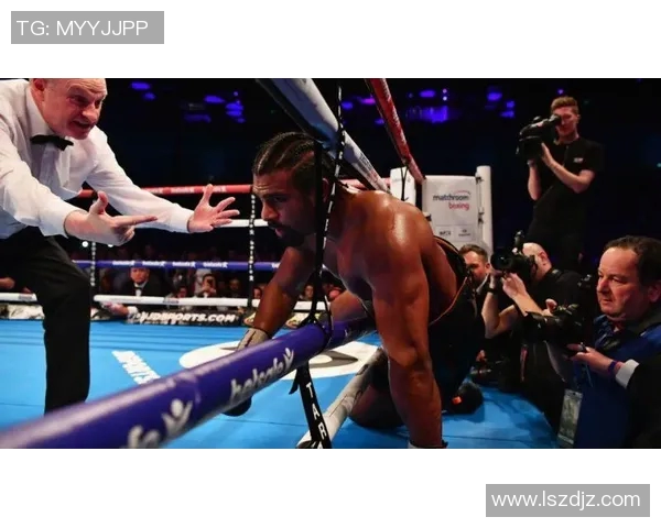 托尼贝柳与海耶的巅峰对决谁能笑到最后揭开拳坛新篇章