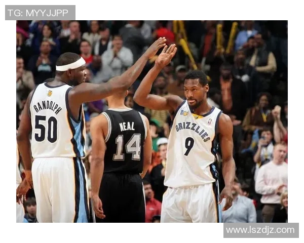 灰熊与黄蜂精彩对决完整视频回顾及赛后分析分享