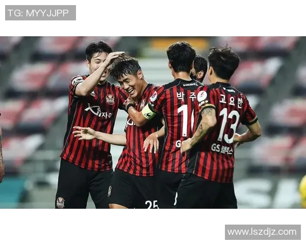 首尔与浦项对决前瞻分析及胜负预测展望